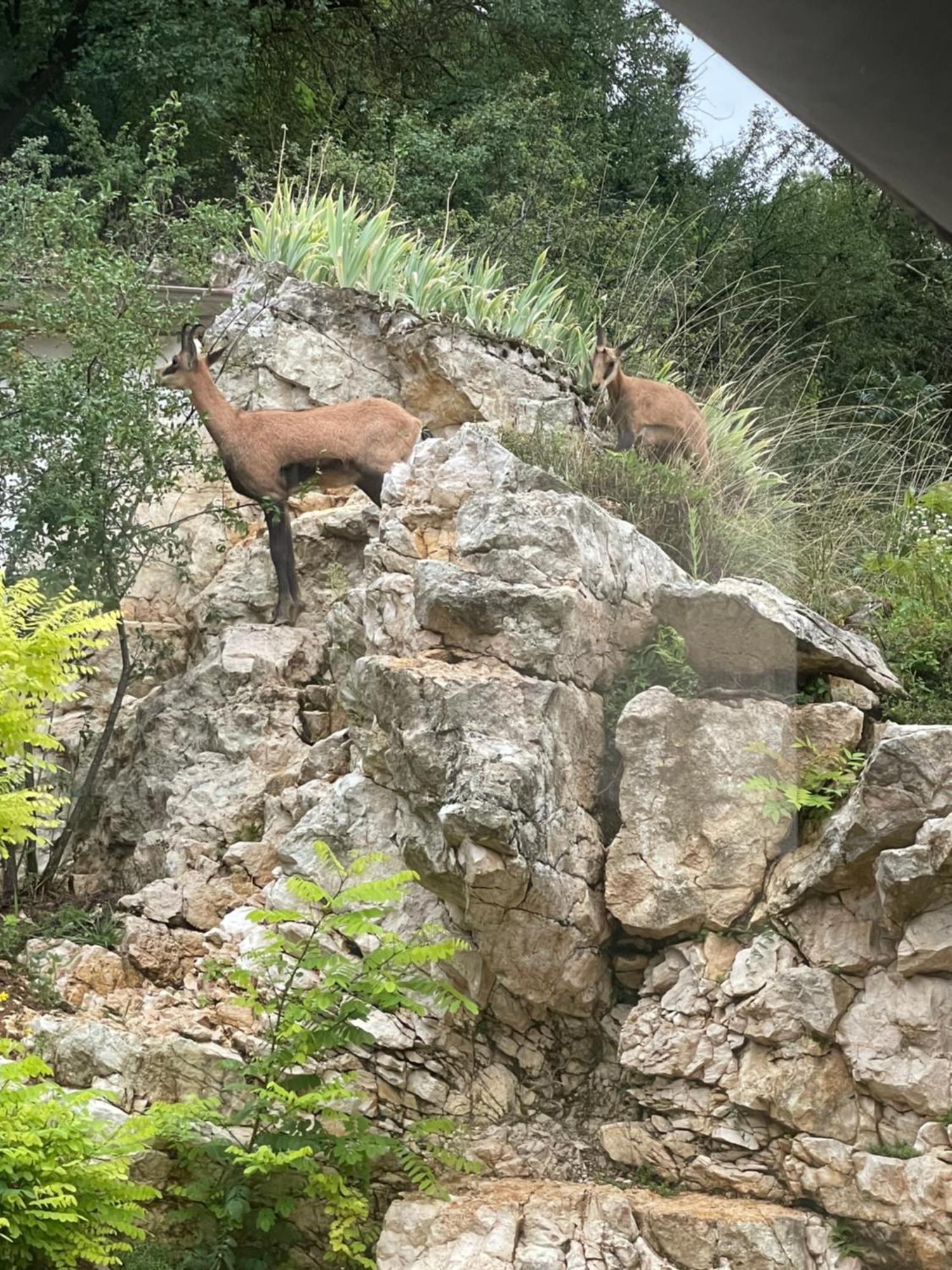 Maison Au Bord De L'Eau Les Roches Rochefort-sur-Nenon Buitenkant foto