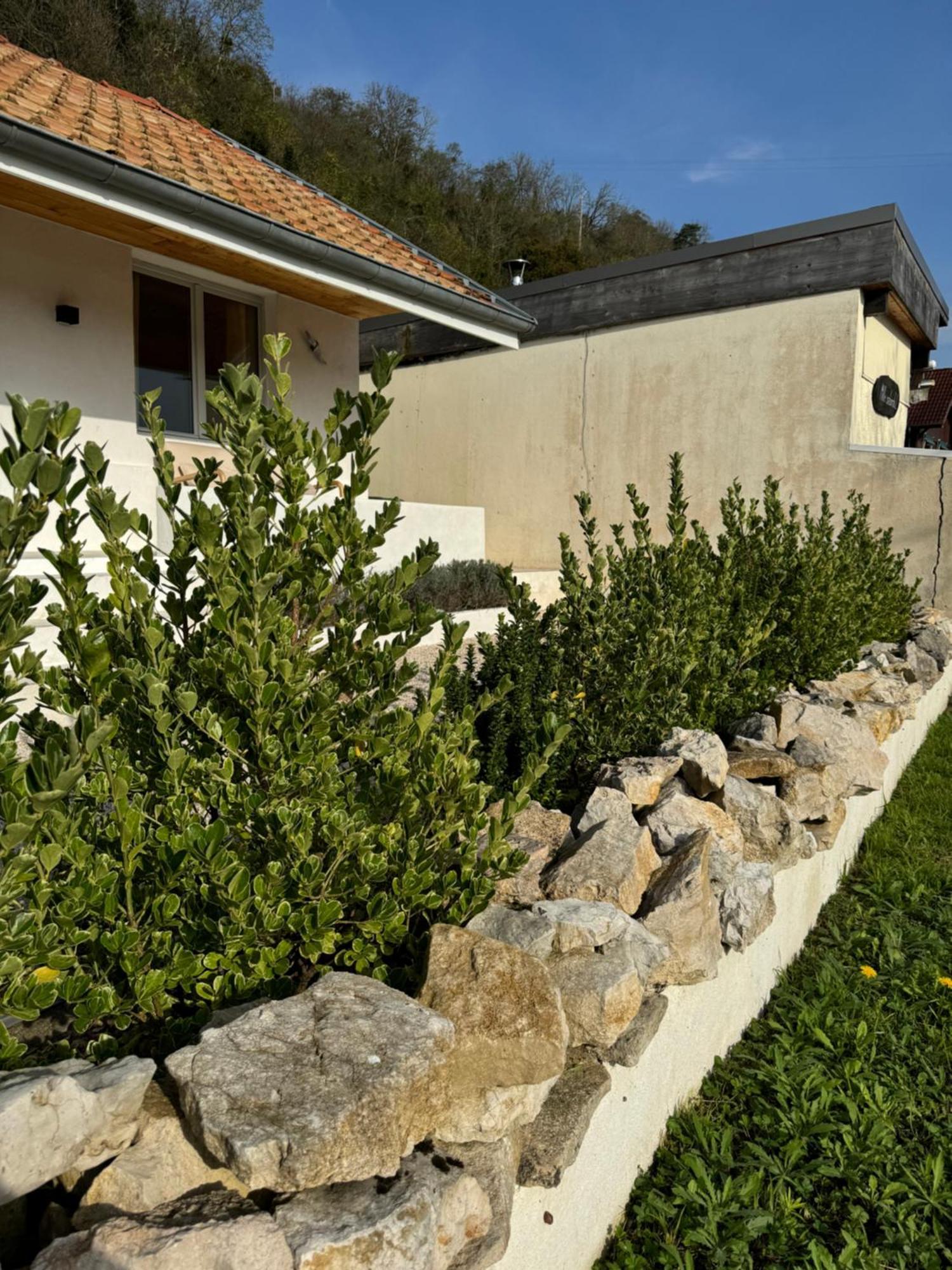 Maison Au Bord De L'Eau Les Roches Rochefort-sur-Nenon Buitenkant foto