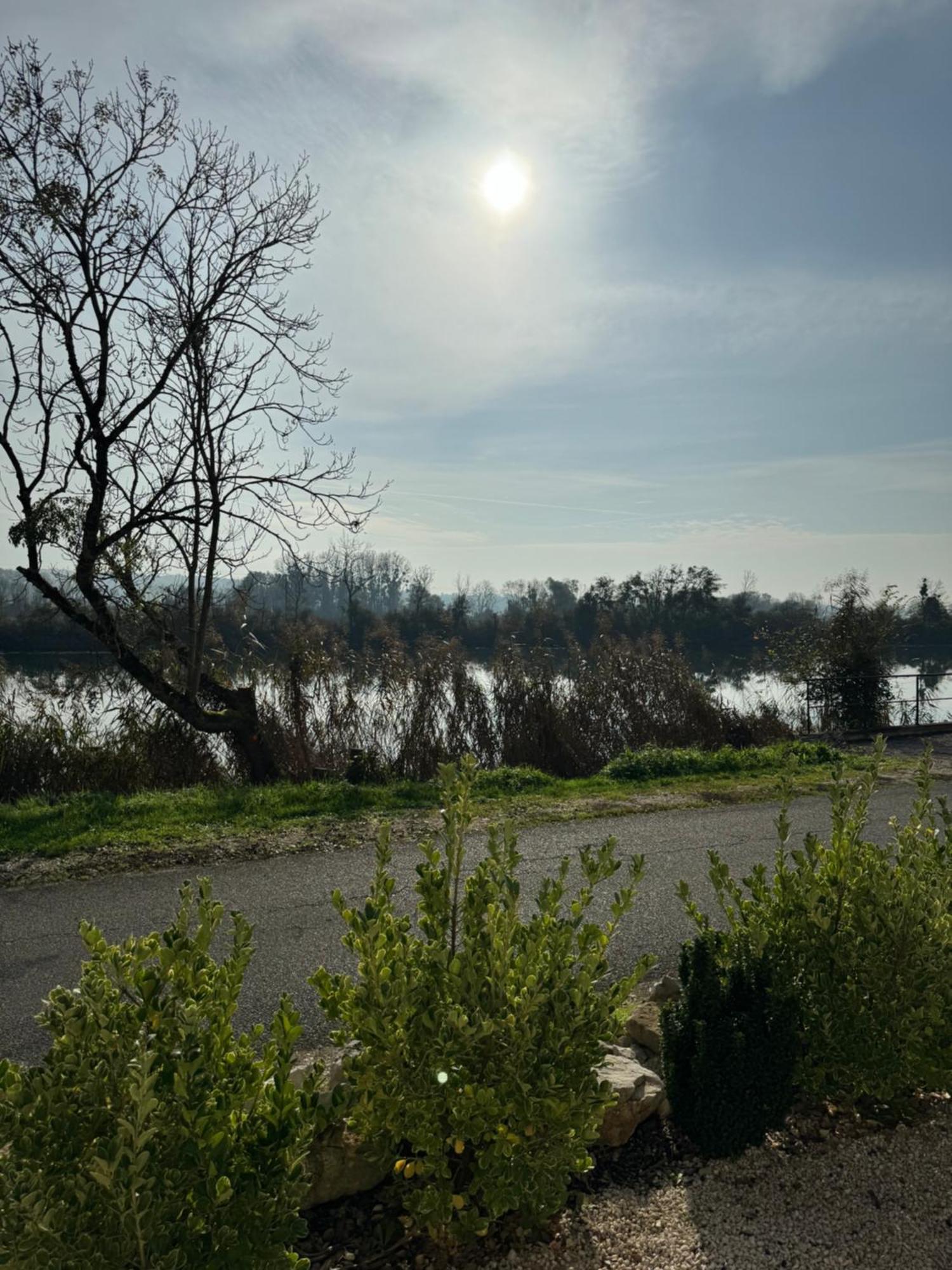 Maison Au Bord De L'Eau Les Roches Rochefort-sur-Nenon Buitenkant foto